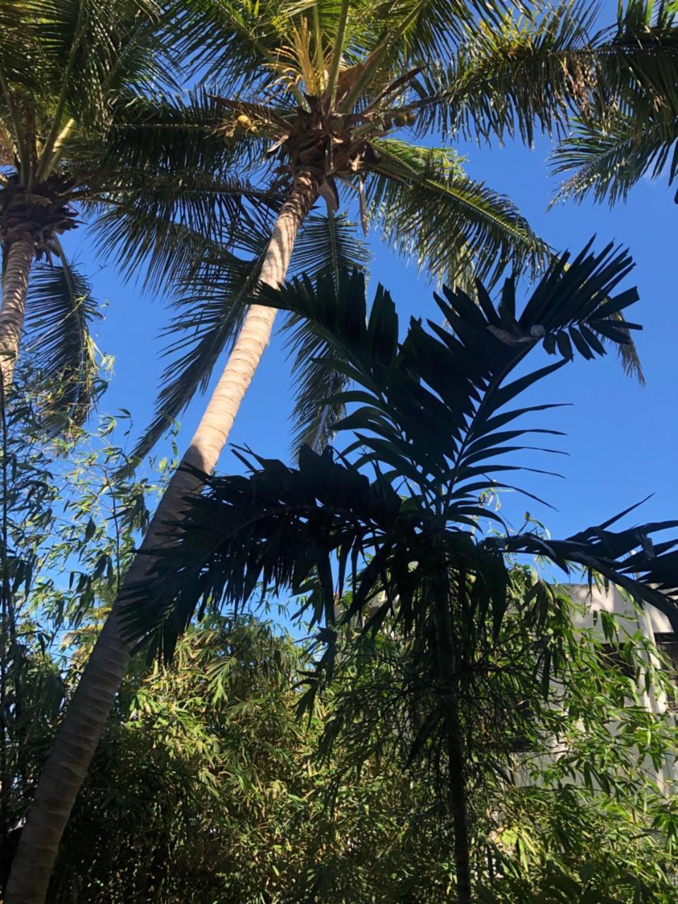 Villa Florencia Bavaro Пунта-Кана Екстер'єр фото